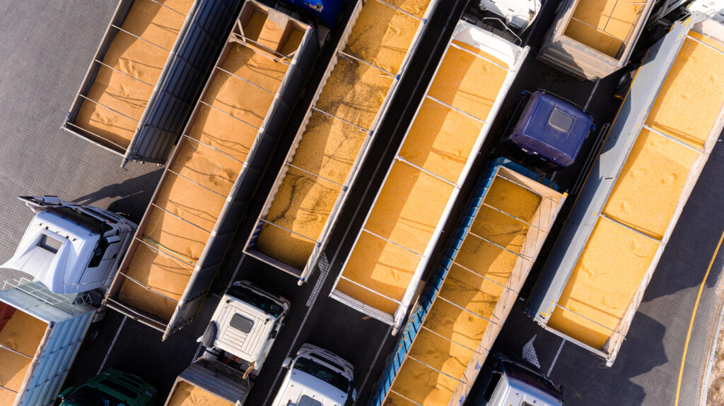 Bulk Carriers: Guide to Equipment and Standards