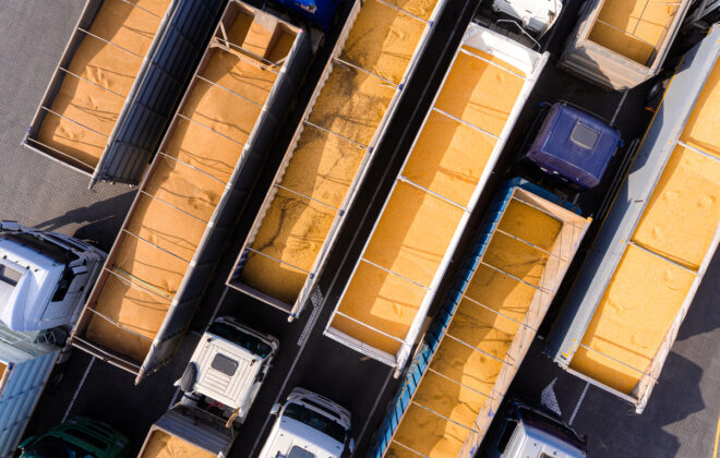 Bulk Carriers: Guide to Equipment and Standards